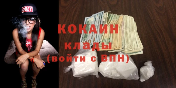 кокс Алексин