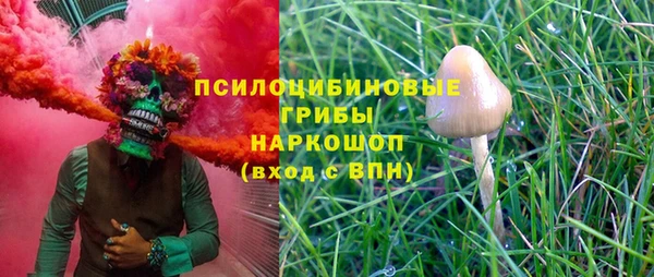 кокс Алексин
