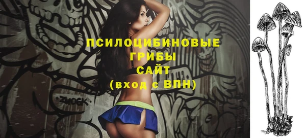 ешки Алексеевка