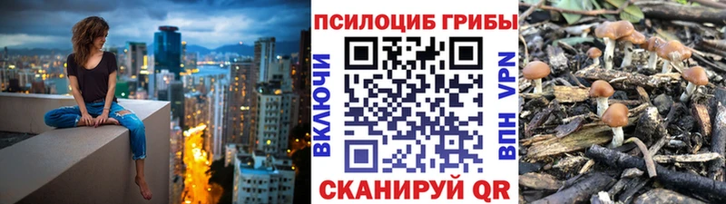 MEGA зеркало  Всеволожск  Галлюциногенные грибы GOLDEN TEACHER  дарнет шоп 